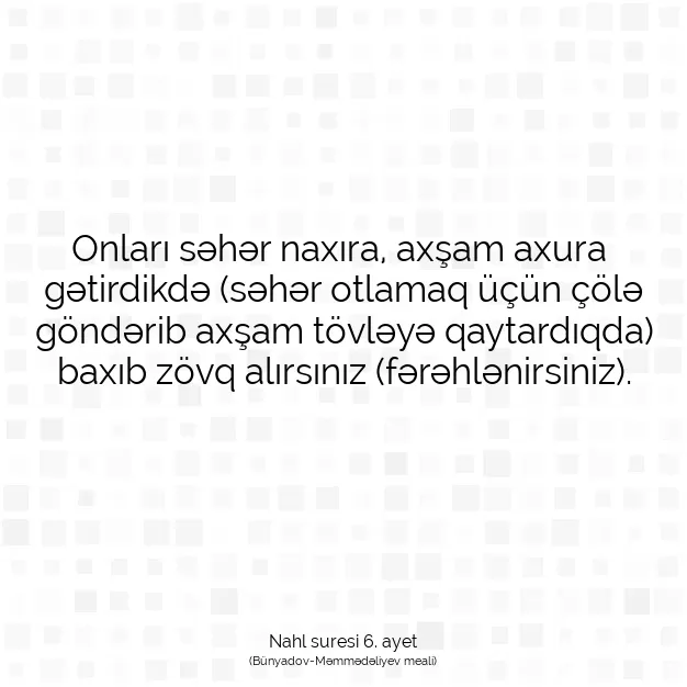 Ayetbul | Kuran Mealleri | Quran | Nahl suresi 6. ayet