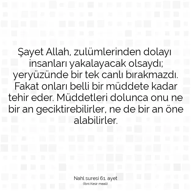 Ayetbul | Kuran Mealleri | Quran | Nahl suresi 61. ayet