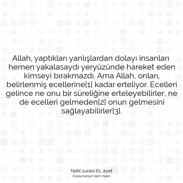 Ayetbul | Kuran Mealleri | Quran | Nahl suresi 61. ayet