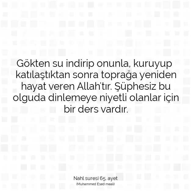 Ayetbul | Kuran Mealleri | Quran | Nahl suresi 65. ayet