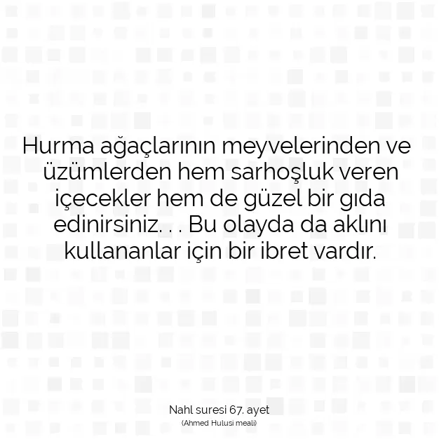 Ayetbul | Kuran Mealleri | Quran | Nahl suresi 67. ayet