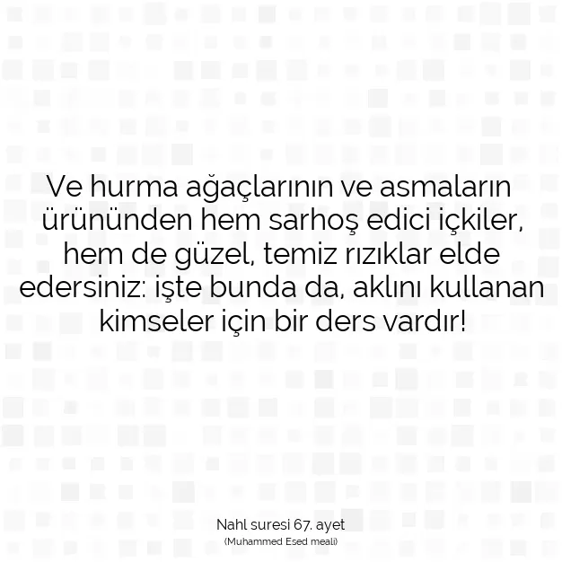 Ayetbul | Kuran Mealleri | Quran | Nahl suresi 67. ayet