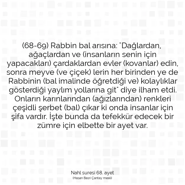 Ayetbul | Kuran Mealleri | Quran | Nahl suresi 68. ayet