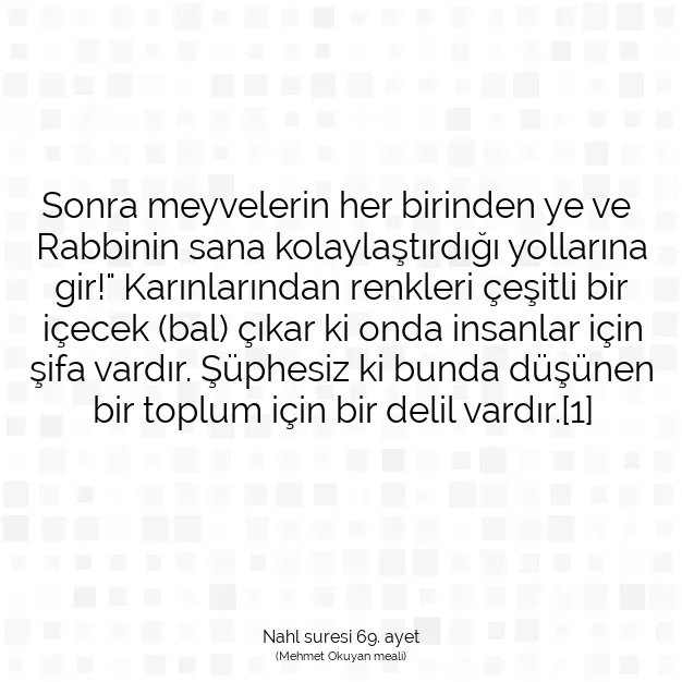 Ayetbul | Kuran Mealleri | Quran | Nahl suresi 69. ayet