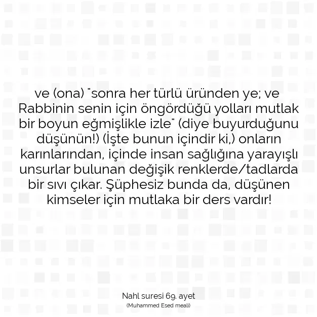 Ayetbul | Kuran Mealleri | Quran | Nahl suresi 69. ayet