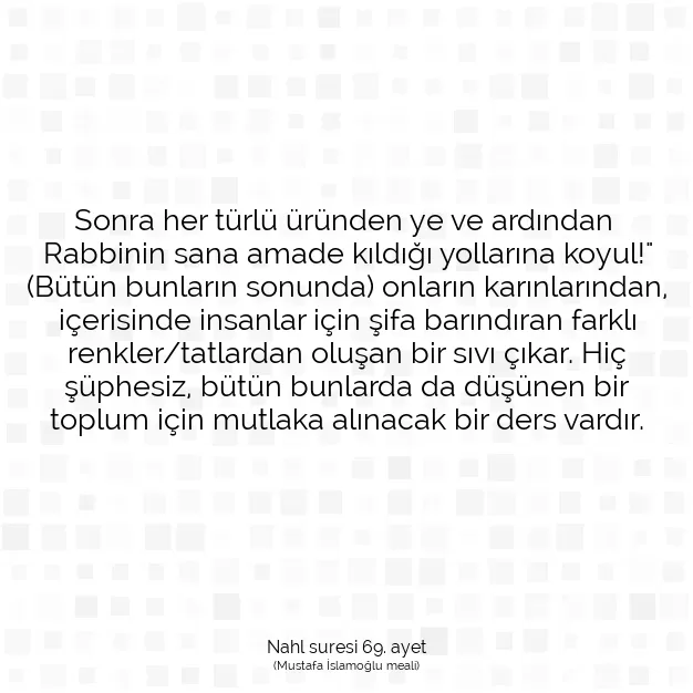 Ayetbul | Kuran Mealleri | Quran | Nahl suresi 69. ayet