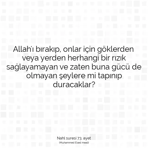 Ayetbul | Kuran Mealleri | Quran | Nahl suresi 73. ayet