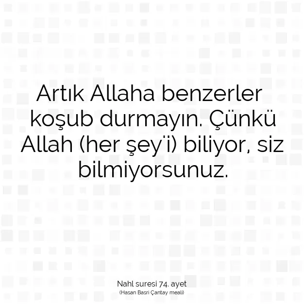 Ayetbul | Kuran Mealleri | Quran | Nahl suresi 74. ayet