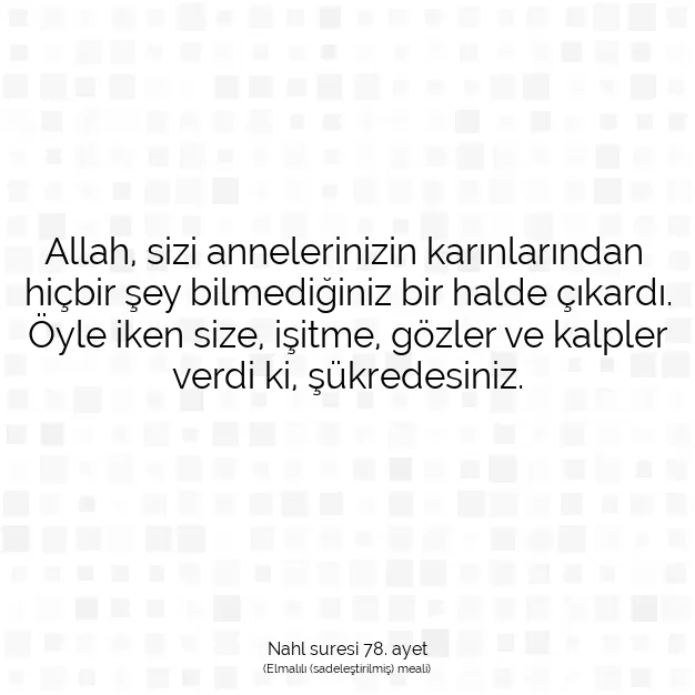 Ayetbul | Kuran Mealleri | Quran | Nahl suresi 78. ayet