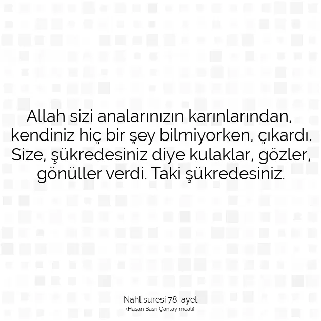 Ayetbul | Kuran Mealleri | Quran | Nahl suresi 78. ayet