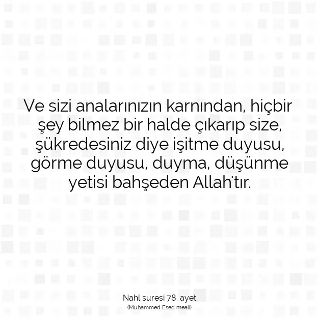 Ayetbul | Kuran Mealleri | Quran | Nahl suresi 78. ayet