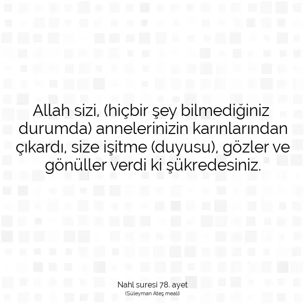 Ayetbul | Kuran Mealleri | Quran | Nahl suresi 78. ayet