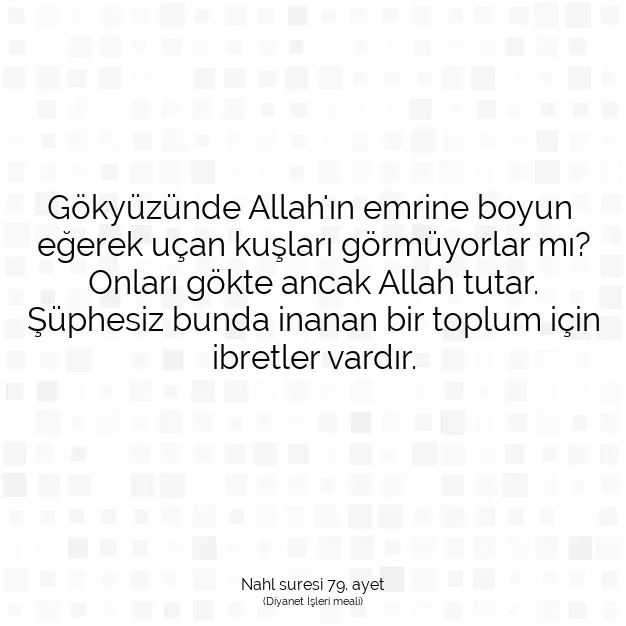 Ayetbul | Kuran Mealleri | Quran | Nahl suresi 79. ayet