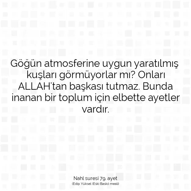 Ayetbul | Kuran Mealleri | Quran | Nahl suresi 79. ayet