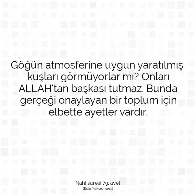 Ayetbul | Kuran Mealleri | Quran | Nahl suresi 79. ayet