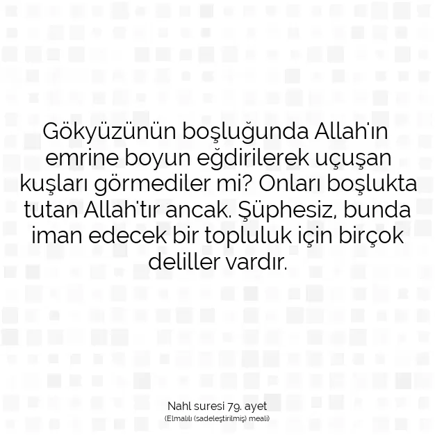 Ayetbul | Kuran Mealleri | Quran | Nahl suresi 79. ayet