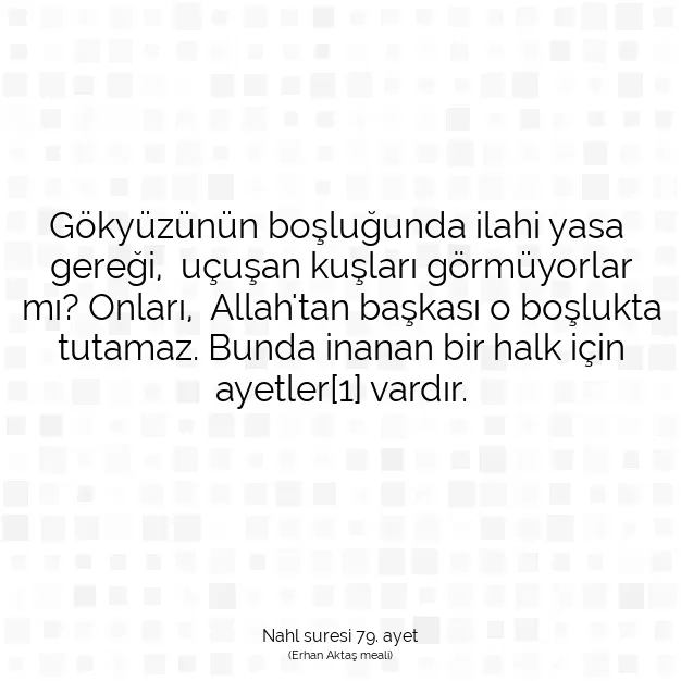 Ayetbul | Kuran Mealleri | Quran | Nahl suresi 79. ayet