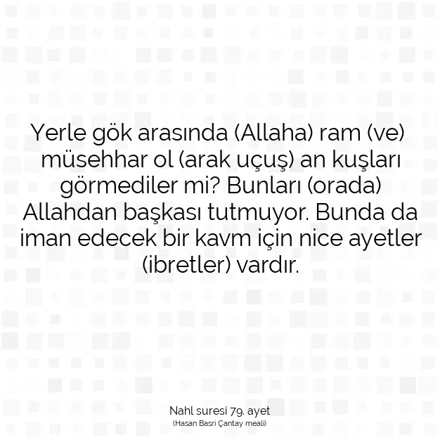 Ayetbul | Kuran Mealleri | Quran | Nahl suresi 79. ayet