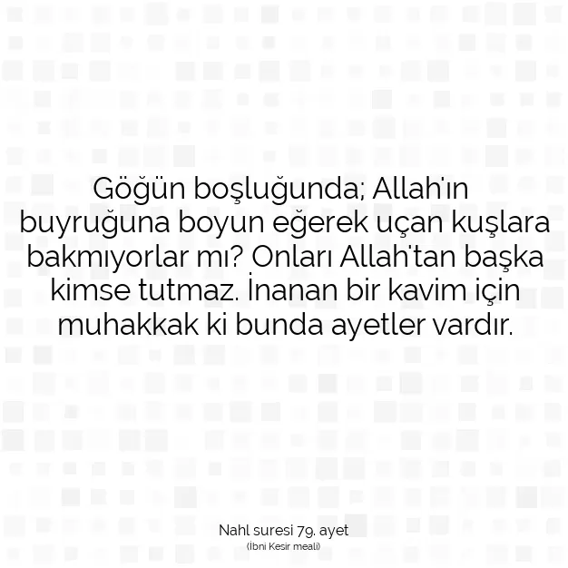 Ayetbul | Kuran Mealleri | Quran | Nahl suresi 79. ayet