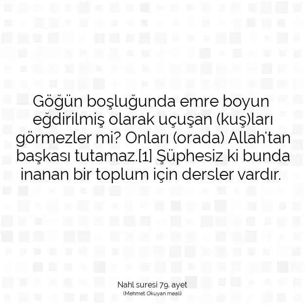 Ayetbul | Kuran Mealleri | Quran | Nahl suresi 79. ayet