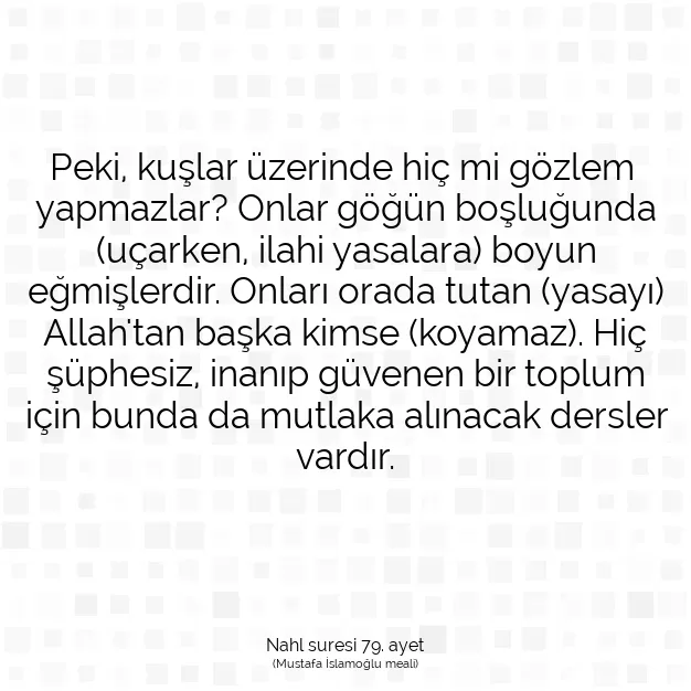 Ayetbul | Kuran Mealleri | Quran | Nahl suresi 79. ayet