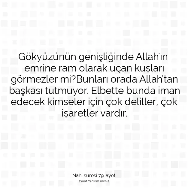 Ayetbul | Kuran Mealleri | Quran | Nahl suresi 79. ayet