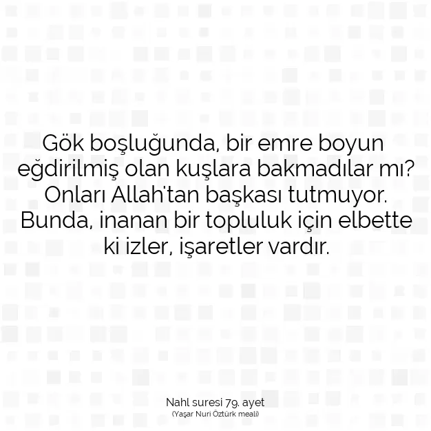 Ayetbul | Kuran Mealleri | Quran | Nahl suresi 79. ayet