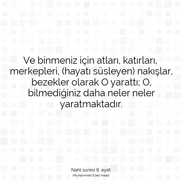 Ayetbul | Kuran Mealleri | Quran | Nahl suresi 8. ayet