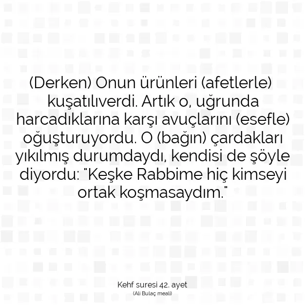 Ayetbul | Kuran Mealleri | Quran | Kehf suresi 42. ayet