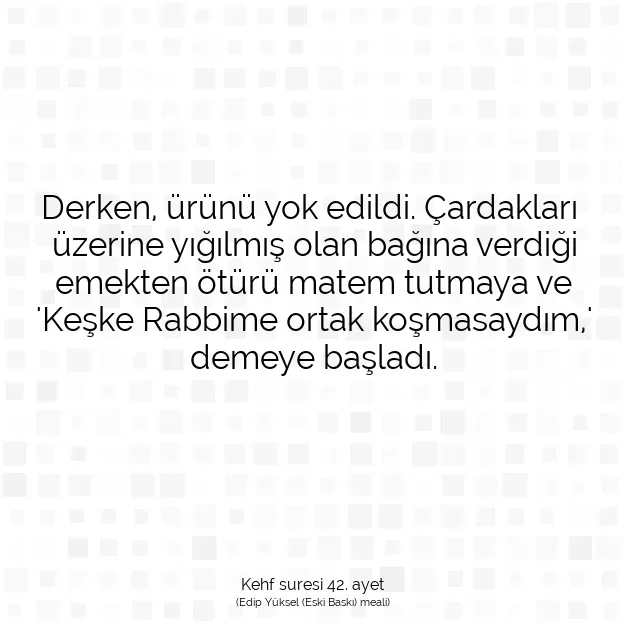 Ayetbul | Kuran Mealleri | Quran | Kehf suresi 42. ayet