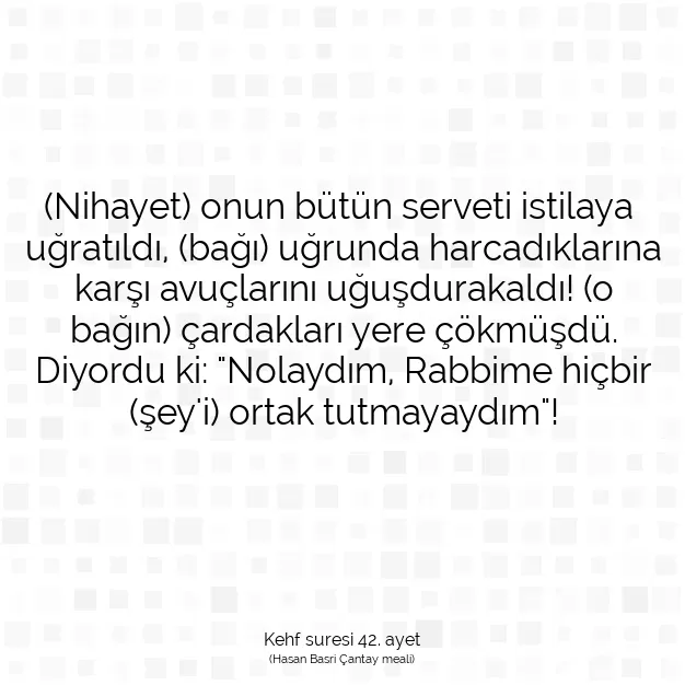 Ayetbul | Kuran Mealleri | Quran | Kehf suresi 42. ayet