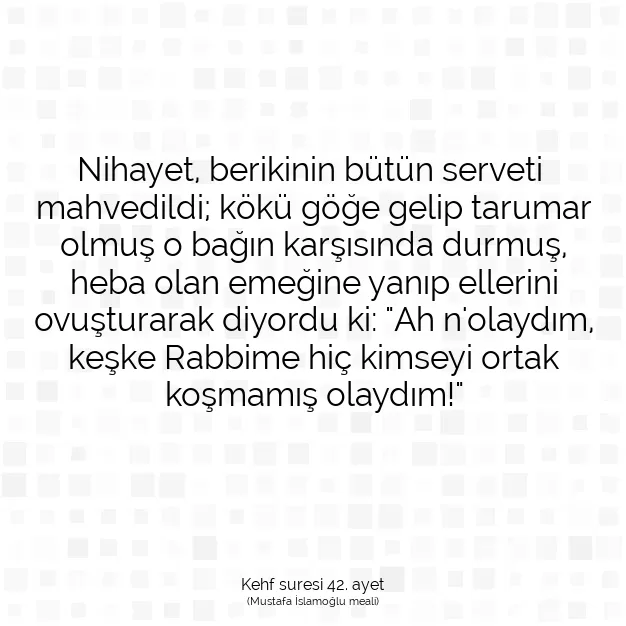 Ayetbul | Kuran Mealleri | Quran | Kehf suresi 42. ayet