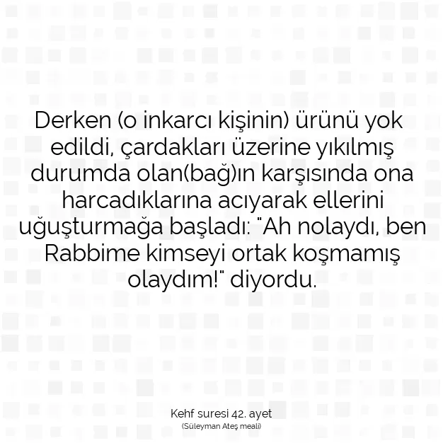 Ayetbul | Kuran Mealleri | Quran | Kehf suresi 42. ayet