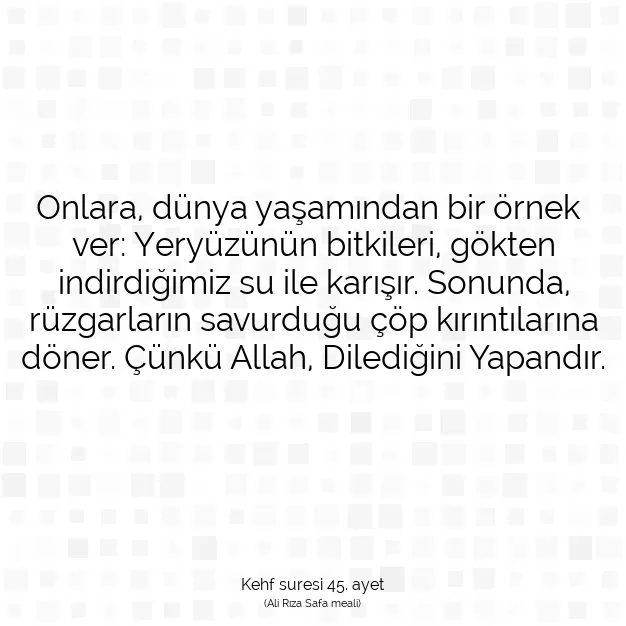 Ayetbul | Kuran Mealleri | Quran | Kehf suresi 45. ayet