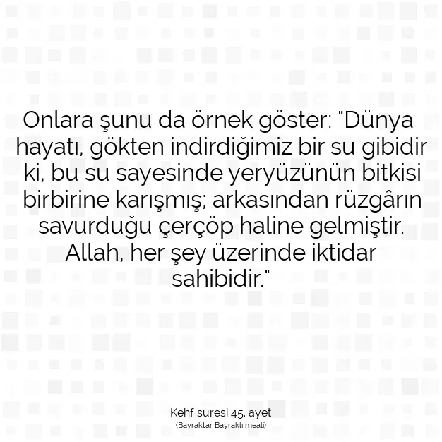 Ayetbul | Kuran Mealleri | Quran | Kehf suresi 45. ayet