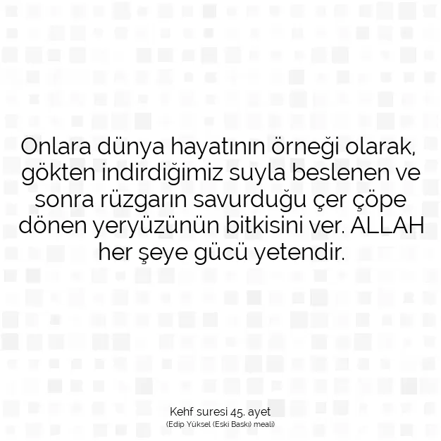 Ayetbul | Kuran Mealleri | Quran | Kehf suresi 45. ayet