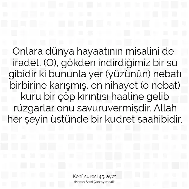 Ayetbul | Kuran Mealleri | Quran | Kehf suresi 45. ayet