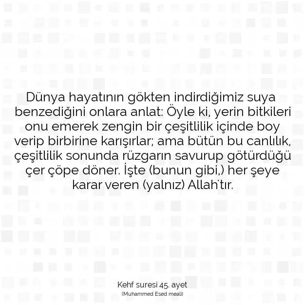 Ayetbul | Kuran Mealleri | Quran | Kehf suresi 45. ayet