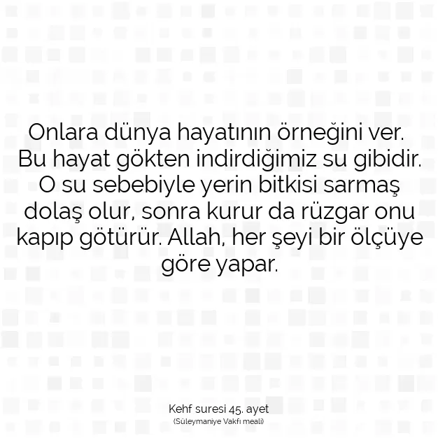 Ayetbul | Kuran Mealleri | Quran | Kehf suresi 45. ayet