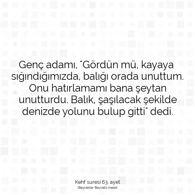 Ayetbul | Kuran Mealleri | Quran | Kehf suresi 63. ayet