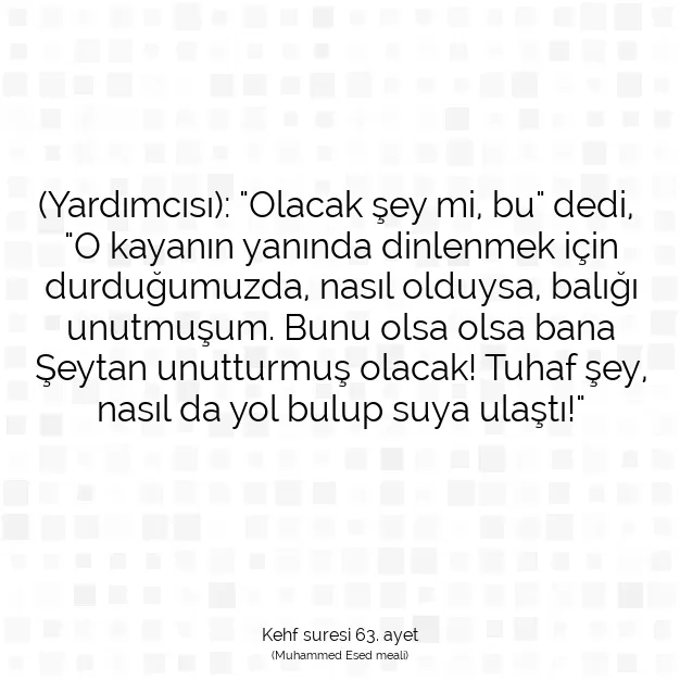 Ayetbul | Kuran Mealleri | Quran | Kehf suresi 63. ayet