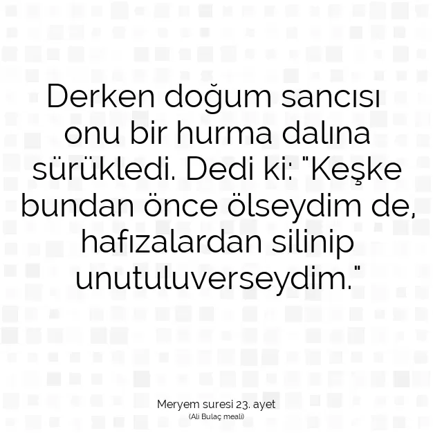 Ayetbul | Kuran Mealleri | Quran | Meryem suresi 23. ayet