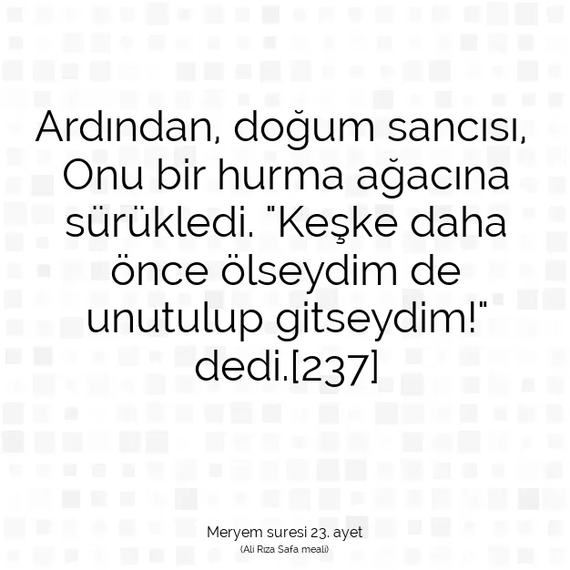 Ayetbul | Kuran Mealleri | Quran | Meryem suresi 23. ayet