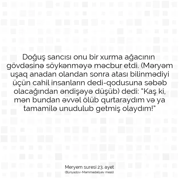 Ayetbul | Kuran Mealleri | Quran | Meryem suresi 23. ayet