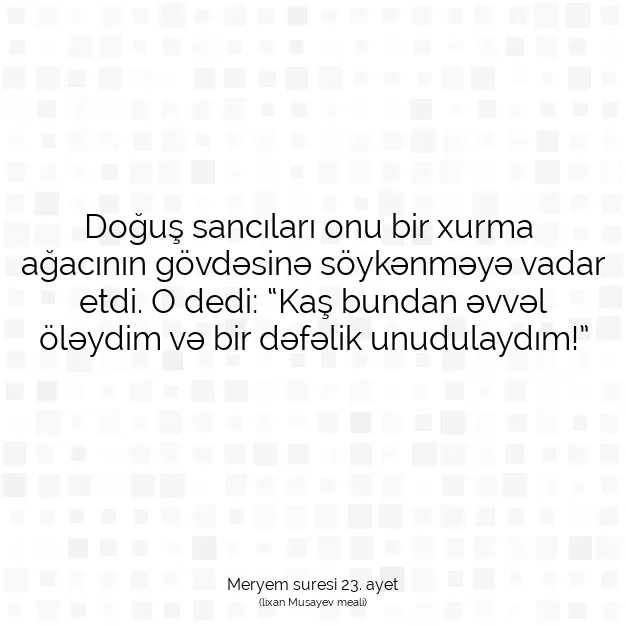 Ayetbul | Kuran Mealleri | Quran | Meryem suresi 23. ayet