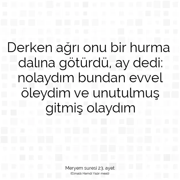 Ayetbul | Kuran Mealleri | Quran | Meryem suresi 23. ayet