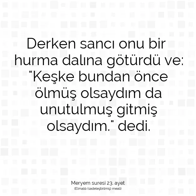 Ayetbul | Kuran Mealleri | Quran | Meryem suresi 23. ayet