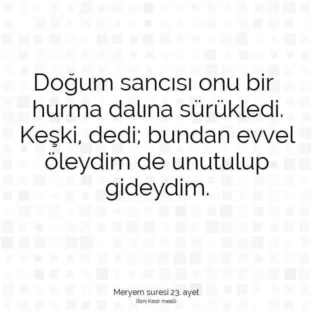 Ayetbul | Kuran Mealleri | Quran | Meryem suresi 23. ayet