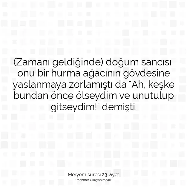 Ayetbul | Kuran Mealleri | Quran | Meryem suresi 23. ayet