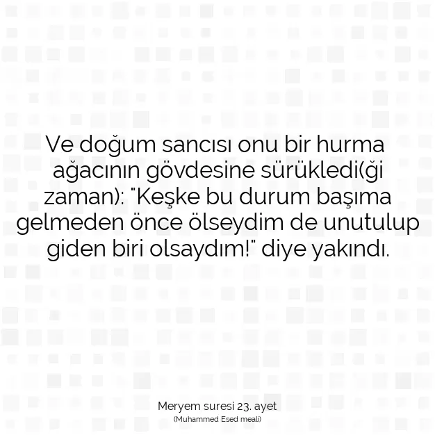 Ayetbul | Kuran Mealleri | Quran | Meryem suresi 23. ayet